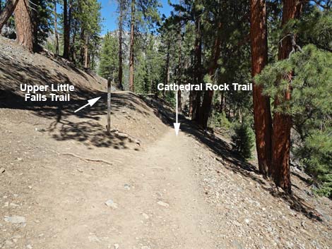 Cathedral Rock Trail