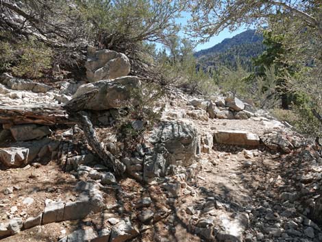 Cathedral Rock Trail