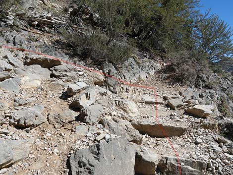 Cathedral Rock Trail