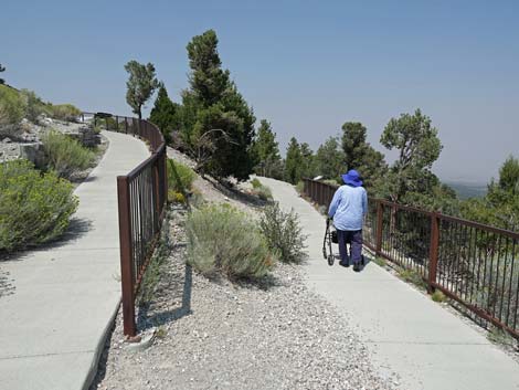 Desert View Overlook Trail