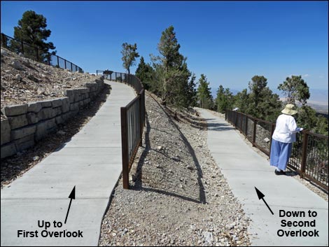 Desert View Overlook Trail