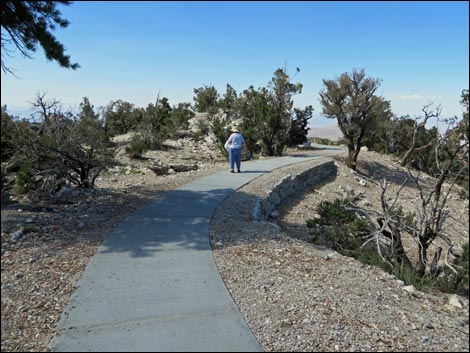 Desert View Overlook Trail