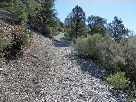 Eagle's Nest Loop Trail