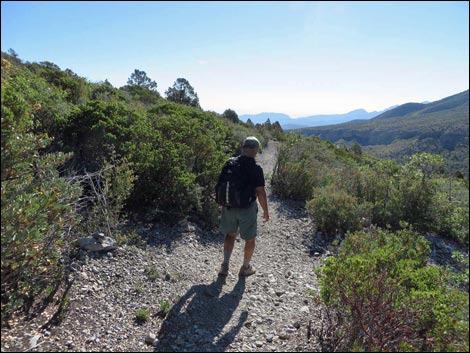 Eagle's Nest Loop Trail