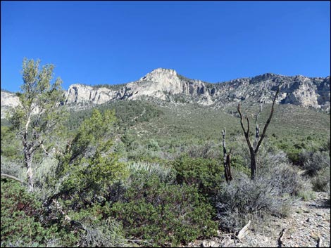 Eagle's Nest Loop Trail