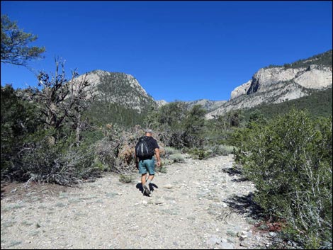 Eagle's Nest Loop Trail