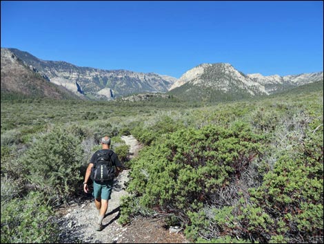 Eagle's Nest Loop Trail