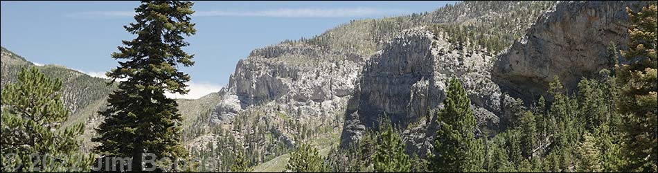 Echo Overlook Trail