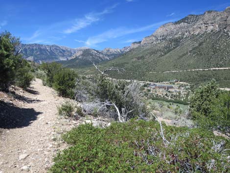 Escarpment Trail