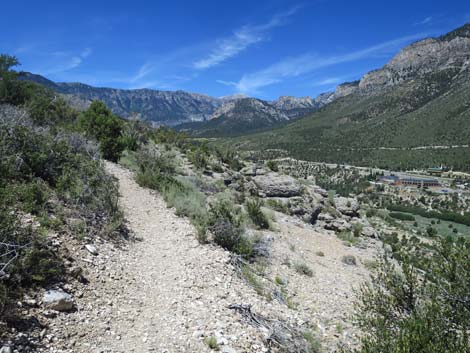 Escarpment Trail