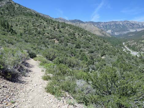 Escarpment Trail