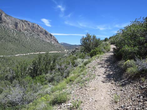 Escarpment Trail