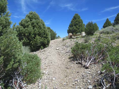 Escarpment Trail