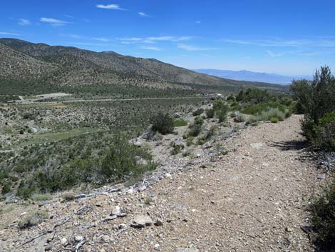 Escarpment Trail