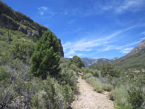 Escarpment Trail