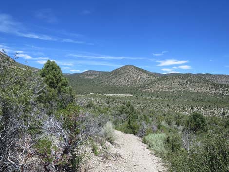 Escarpment Trail