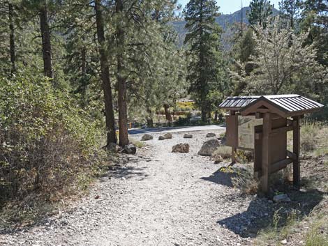 Fletcher Canyon Trail