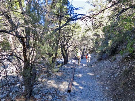 Fletcher Canyon Trail