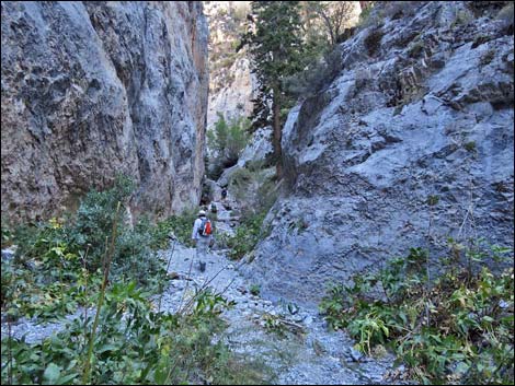 Fletcher Canyon Trail