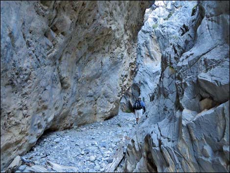 Fletcher Canyon Trail