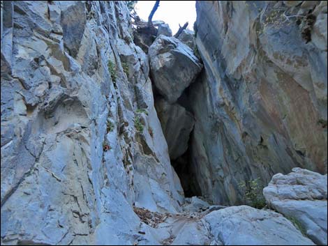 Fletcher Canyon Trail