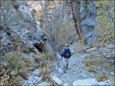 Fletcher Canyon Trail