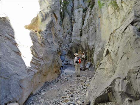 Fletcher Canyon Trail