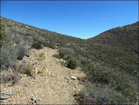 Griffith Shadow South Trail