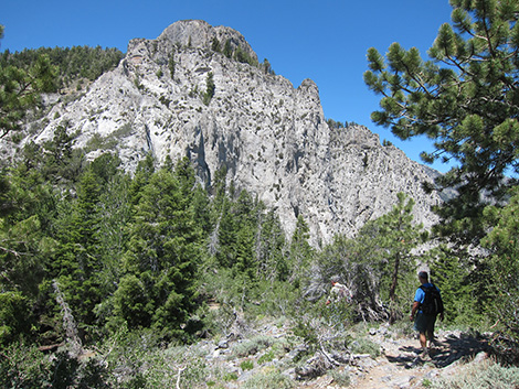 Griffith Peak Trail