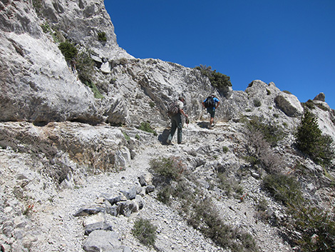 Griffith Peak Trail