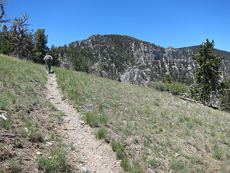 Griffith Peak Trail