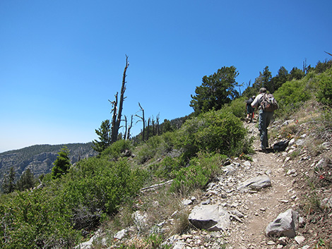 Griffith Peak Trail