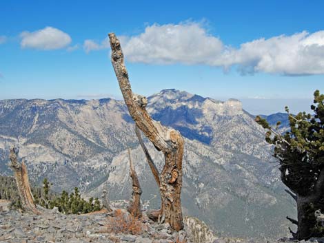 Griffith Peak