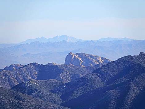 Harris Saddle Trail