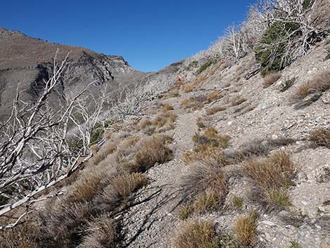 Harris Saddle Trail