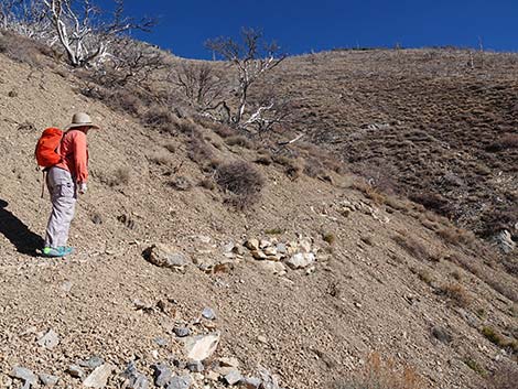 Harris Saddle Trail