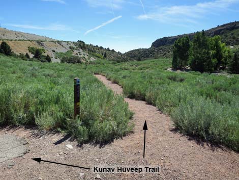 Escarpment Trail