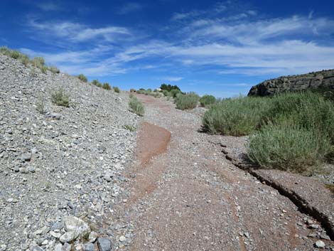 Escarpment Trail