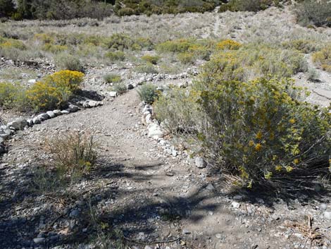 Escarpment Trail