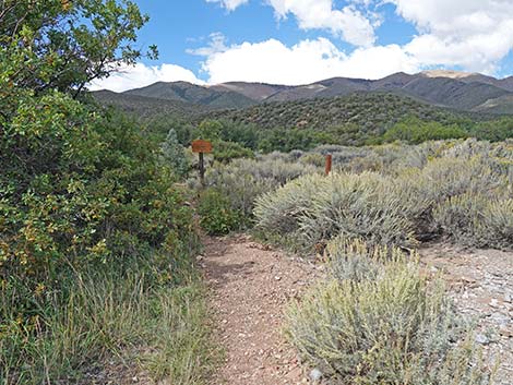 Lovell Canyon Trail