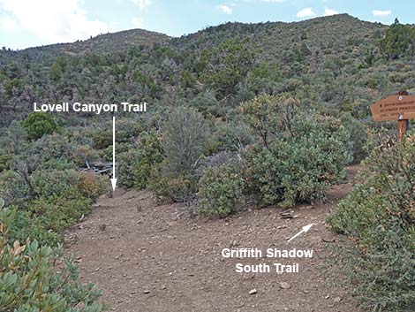 Lovell Canyon Trail