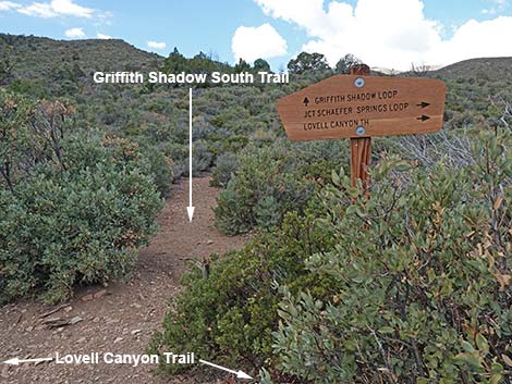 Lovell Canyon Trail