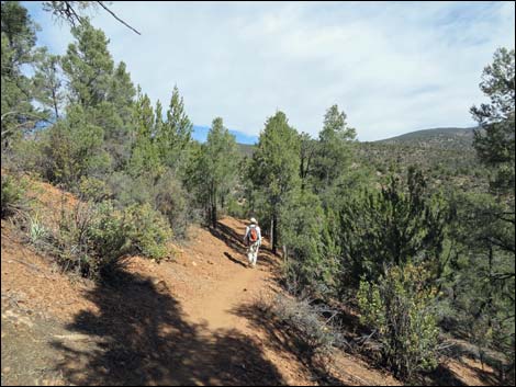 Lovell Canyon Trail