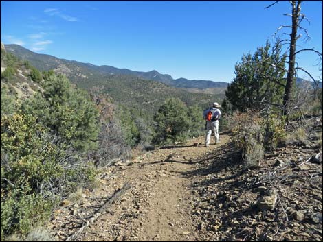 Lovell Canyon Trail