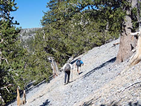 North Loop Trail -- North Ridge