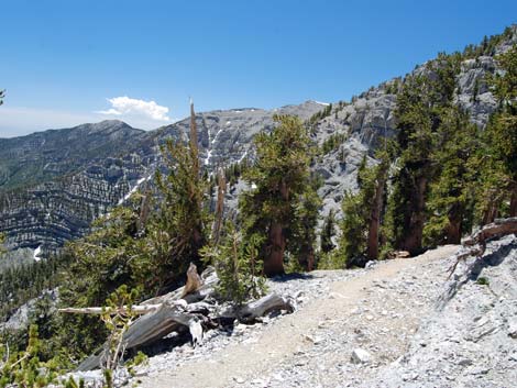 Mt Charleston, East Face