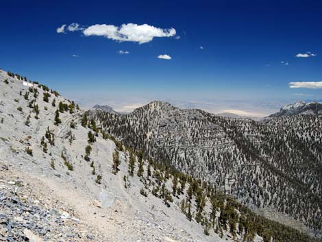 Mt Charleston, East Face