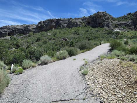 Escarpment Trail