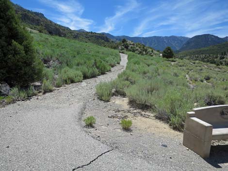 Escarpment Trail