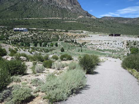 Escarpment Trail